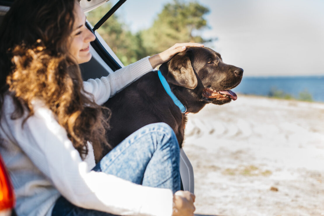 Seguro-viagem para pets: proteção completa para animais