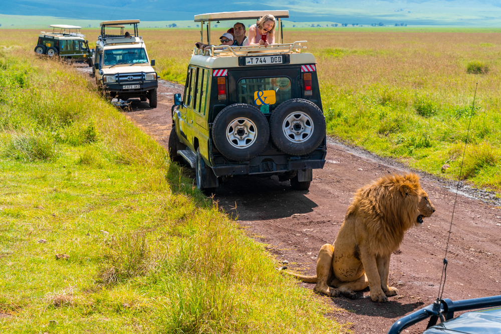 Safgári na Tanzânia: Cratera de Ngorongoro