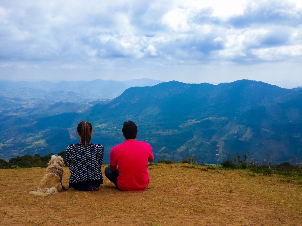 Cidades brasileiras transformam turismo com serviços pet friendly