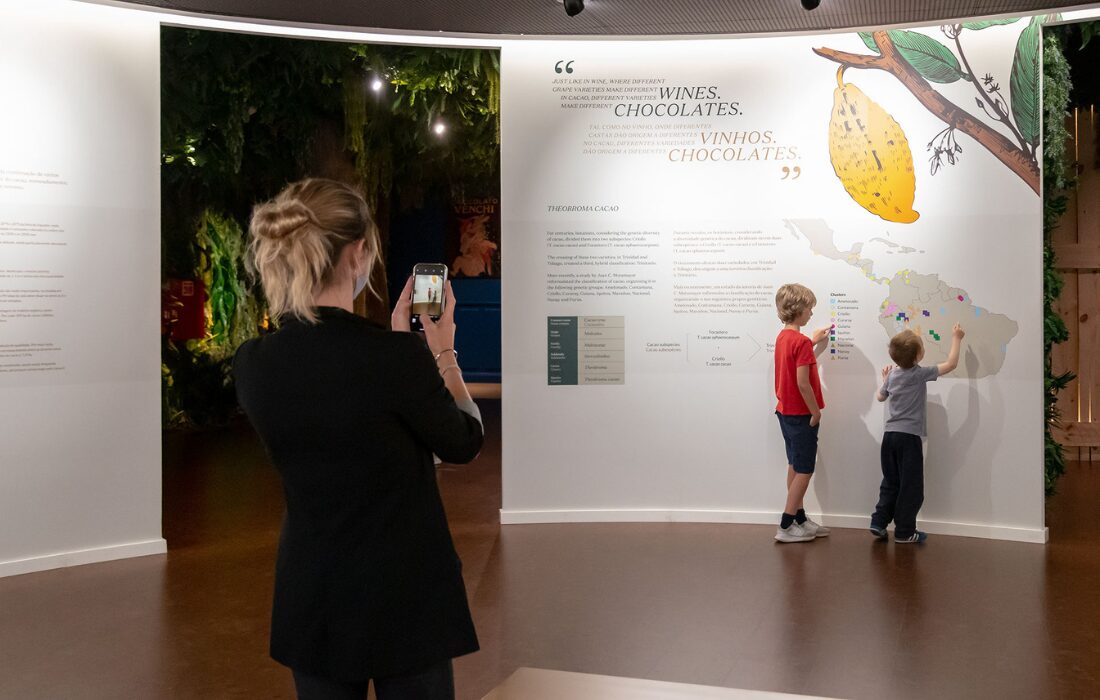 Passeios imperdíveis para curtir com as crianças na região do Porto, em Portugal