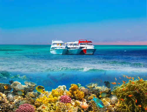Sharm El Sheikh atrai atenção do mundo após cúpula histórica