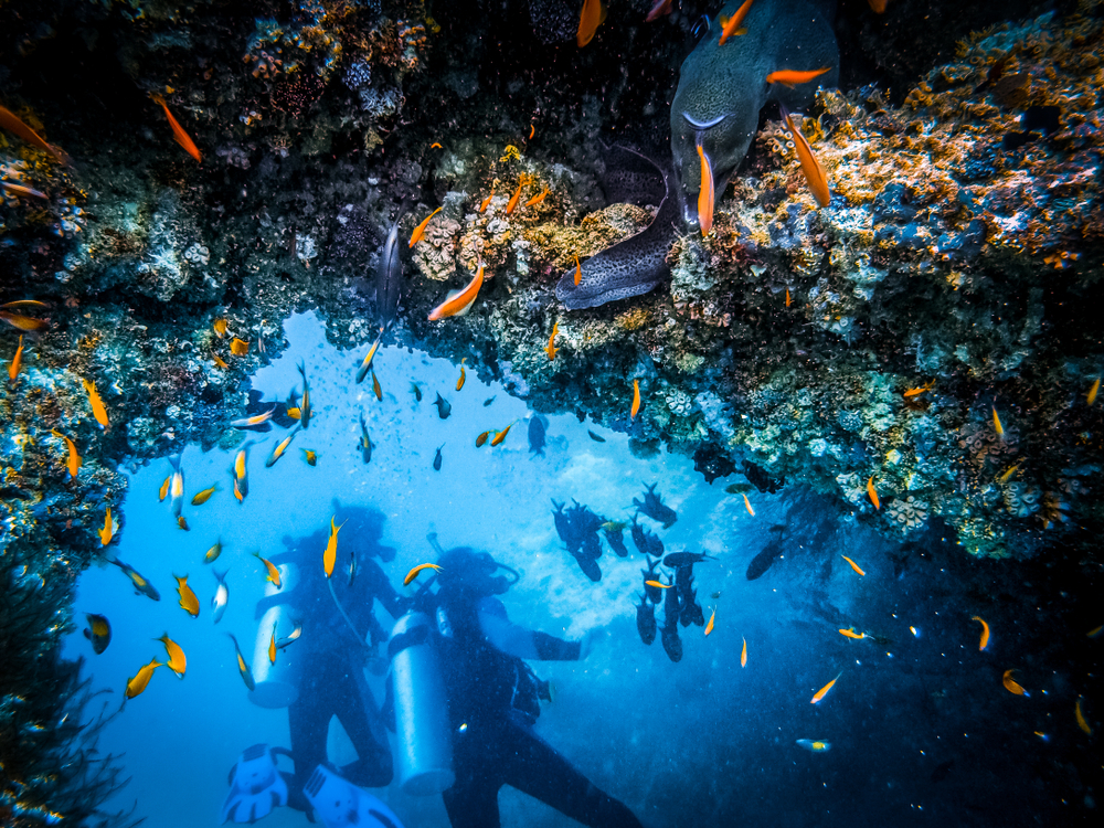Sharm El Sheikh tem atrações subaquáticas imperdíveis