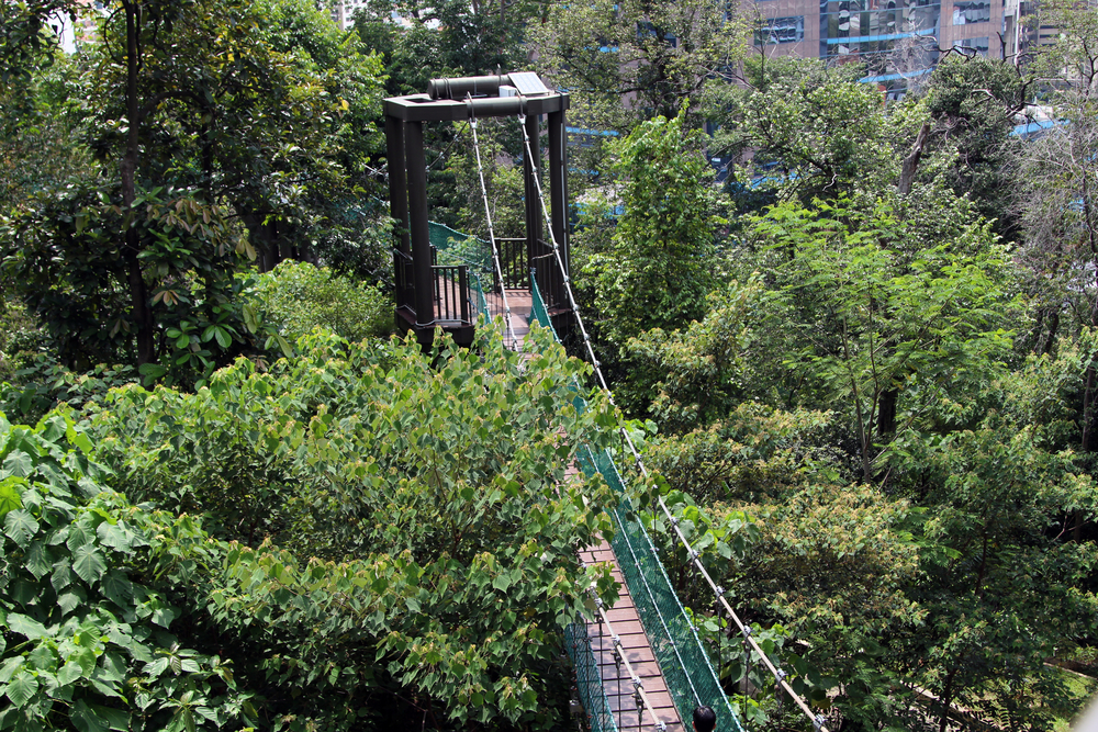 KL Forest Eco Park em Kuala Lumpur