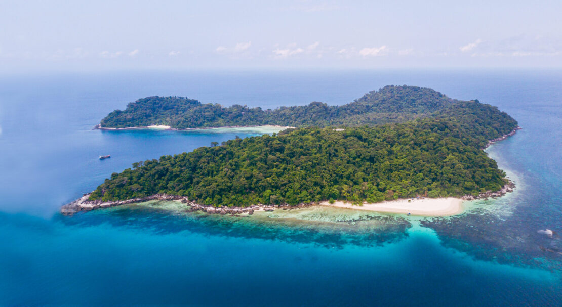 Malásia: turismo sustentável em florestas milenares vivas