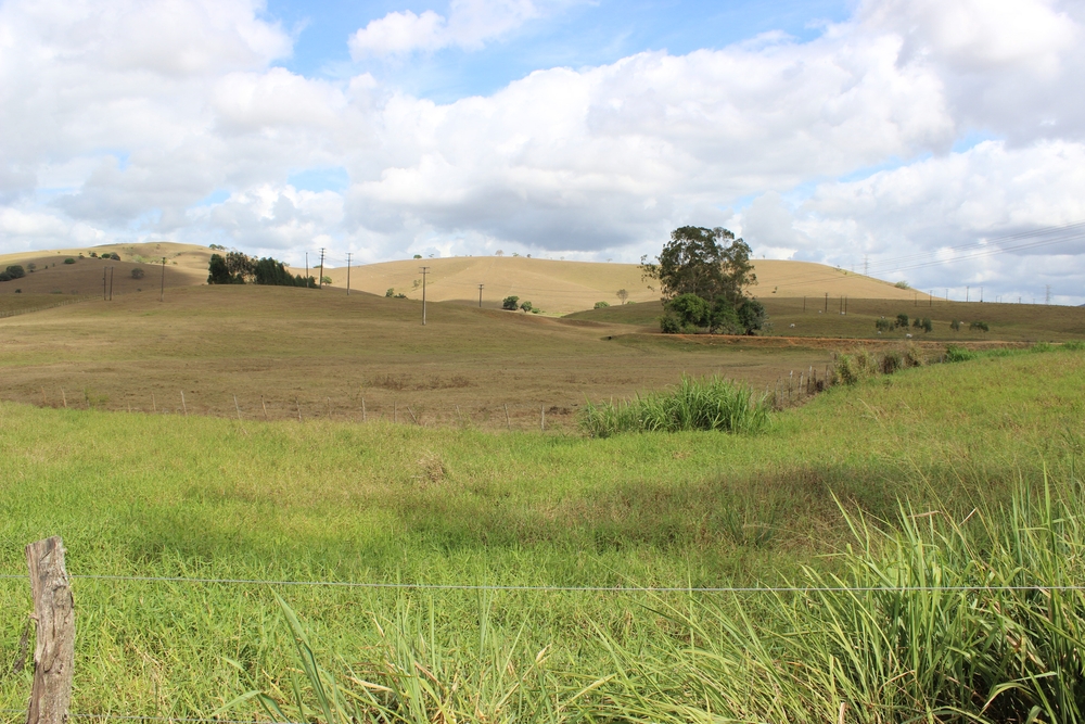 Afroturismo cresce e revela herança africana no Brasil