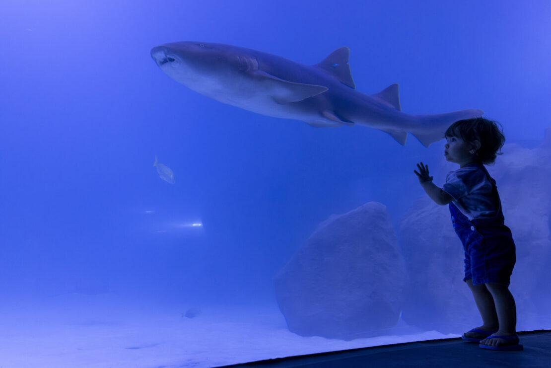 AquaFoz em Foz do Iguaçu