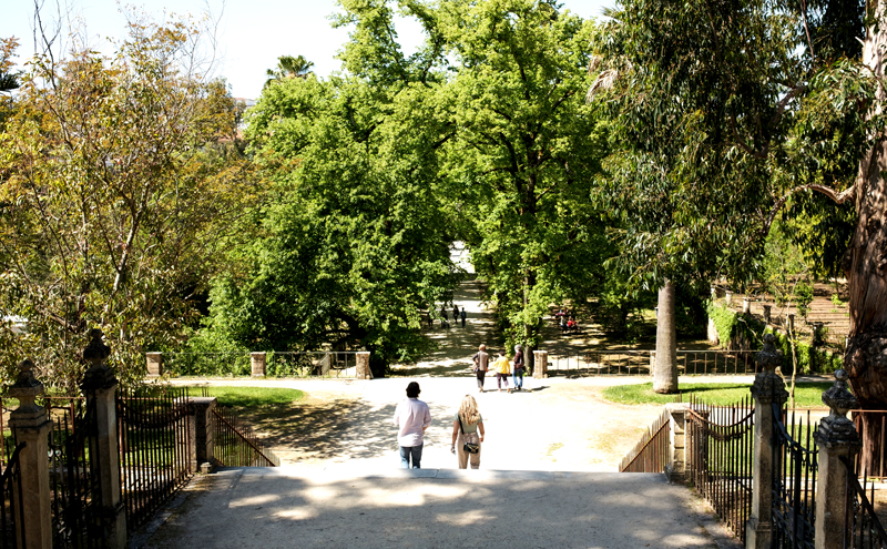 Jardim Botânico em Coimbra