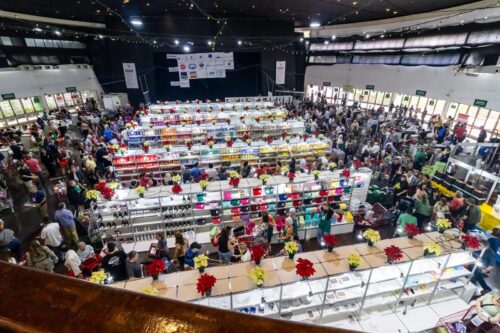 Feira Escandinava 2025 deve atrair 15 mil visitantes