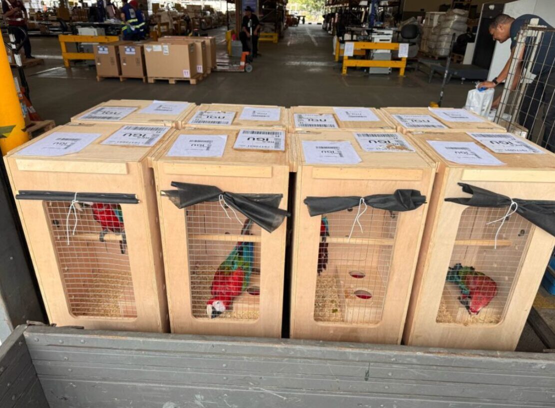 LATAM celebra 14 anos do Avião Solidário no Brasil