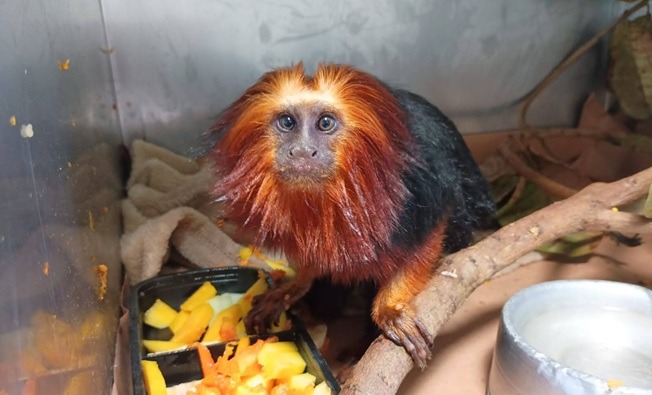 LATAM celebra 14 anos do Avião Solidário no Brasil