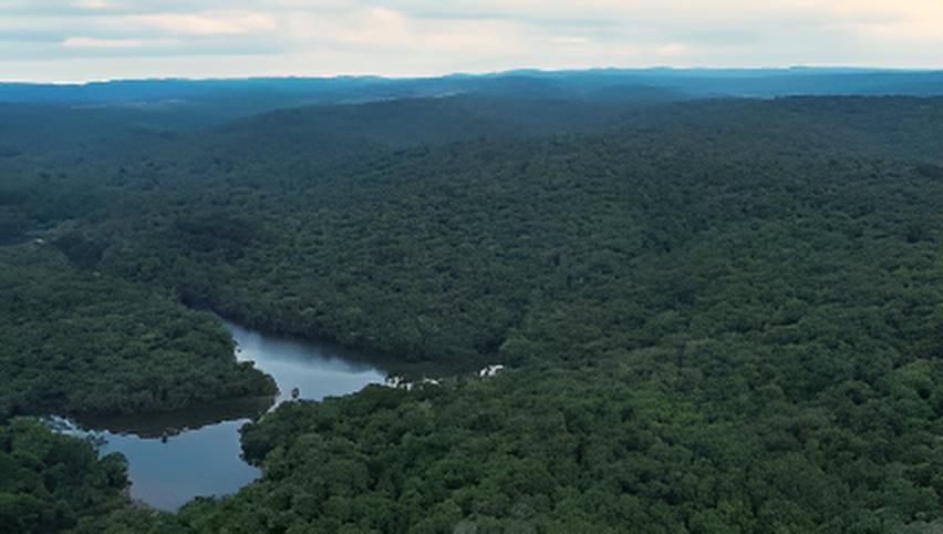 Foto: reprodução/Secretaria Estadual de Meio Ambiente de SP