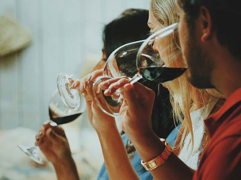 Vinícola VIK no Chile lidera lista global de vinhedos