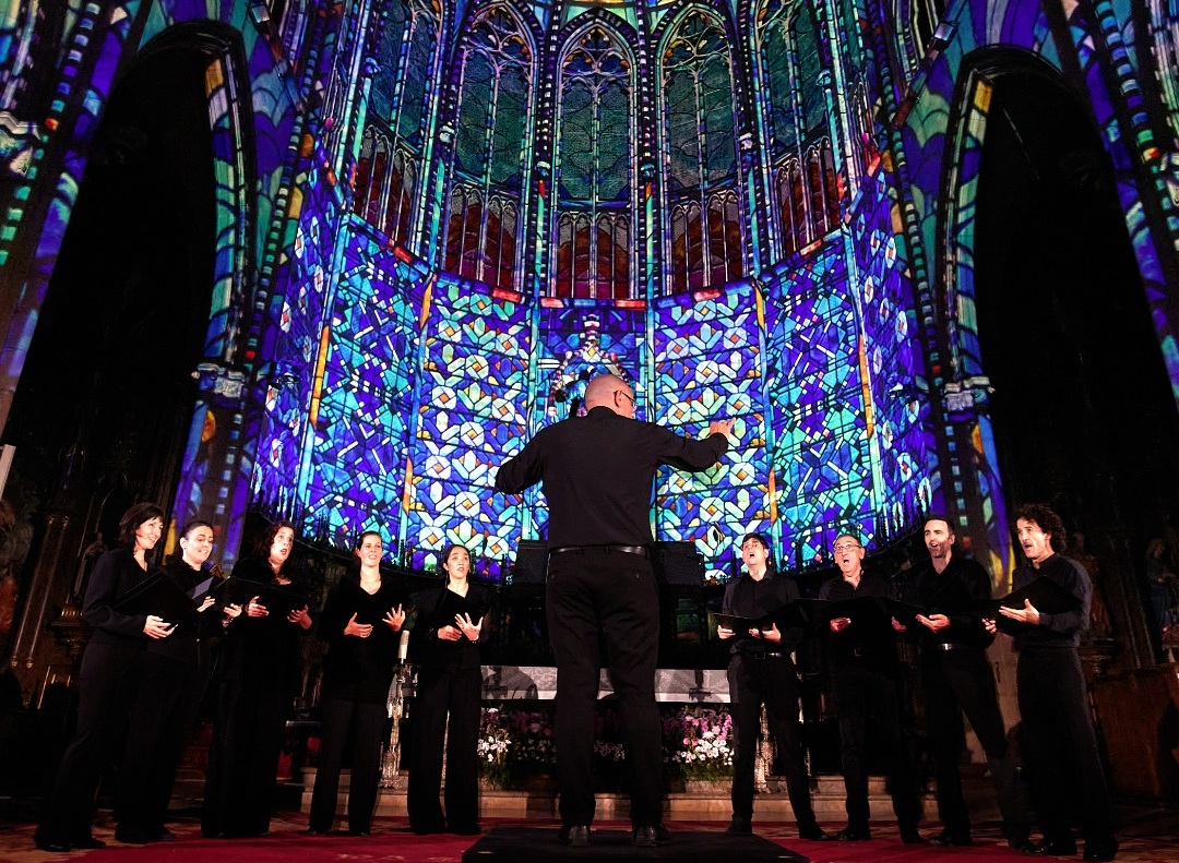 Catedral da Sé recebe espetáculo imersivo de luzes