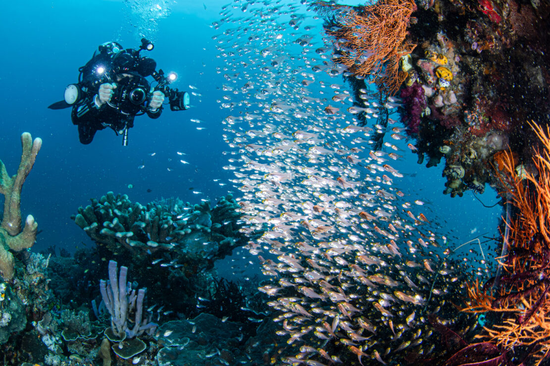 Mergulho na Malásia