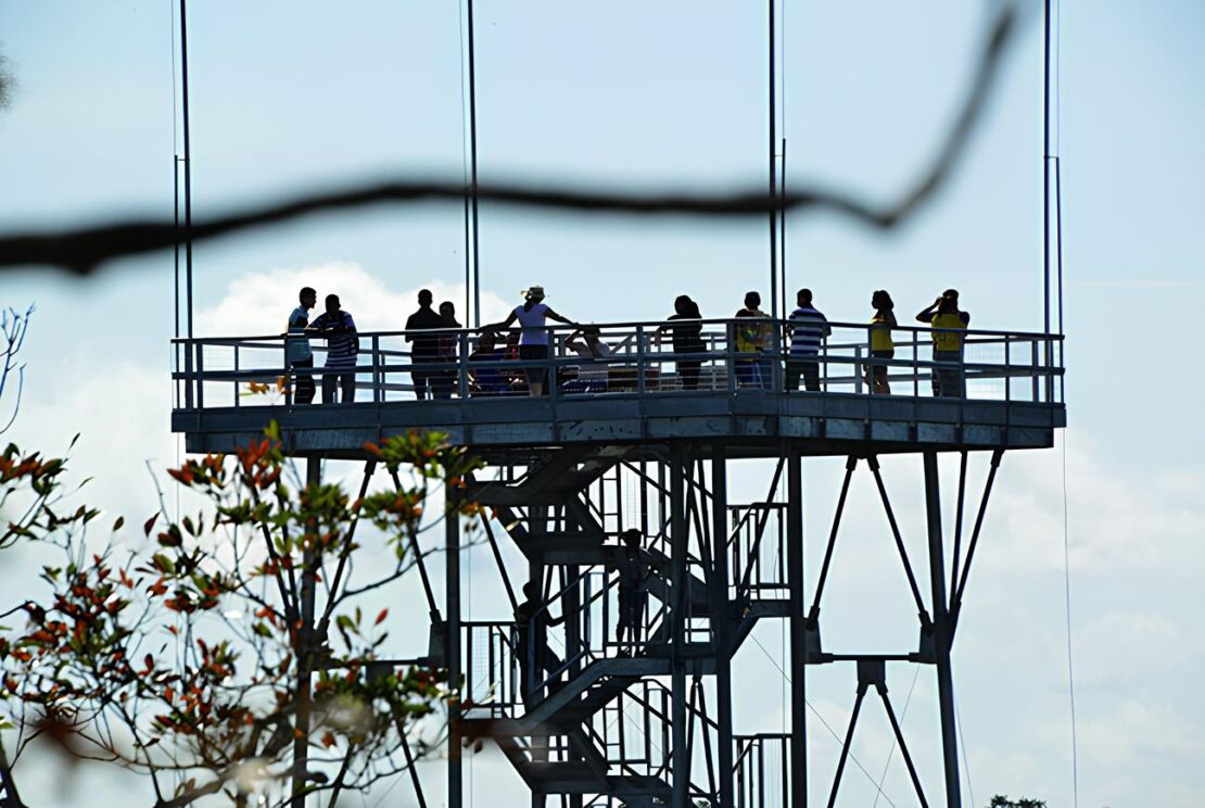 Descubra seis museus brasileiros ideais para visitar com crianças