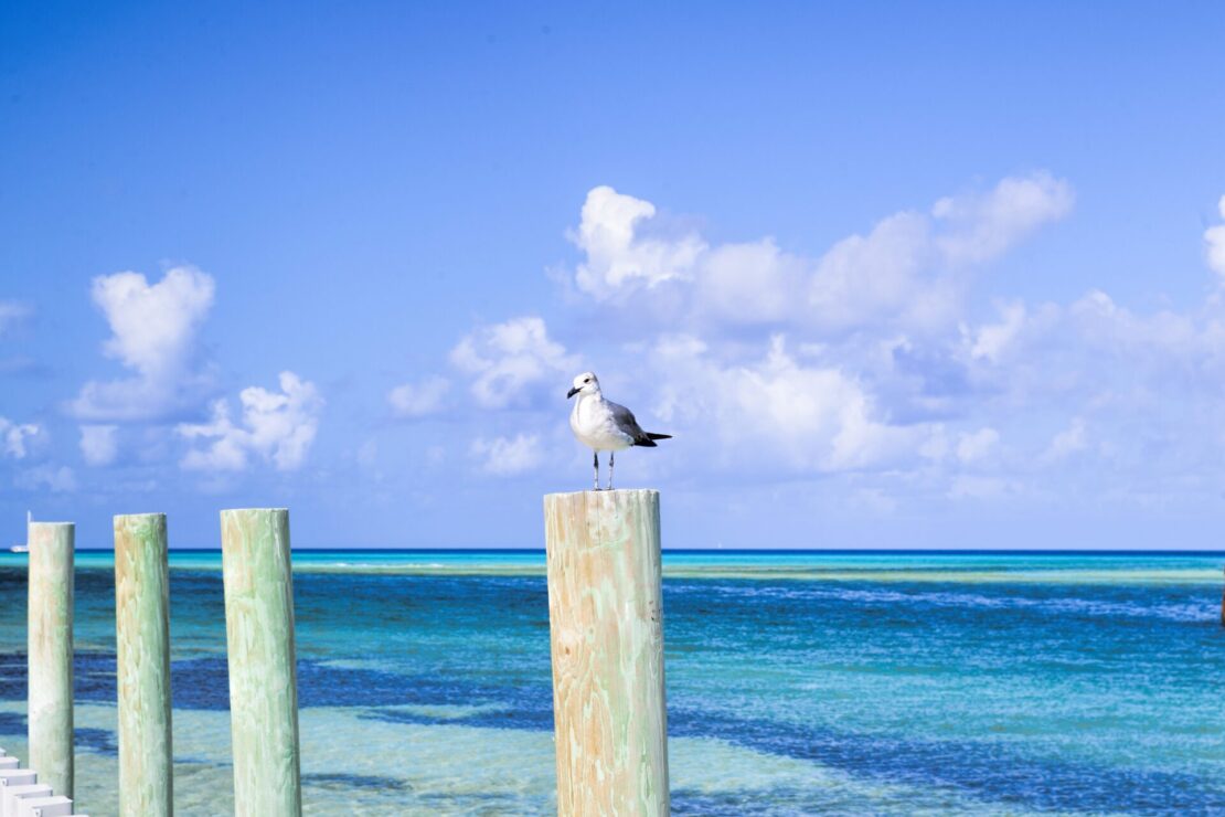 Antes ou depois da Copa seu refúgio nas Out Islands das Bahamas