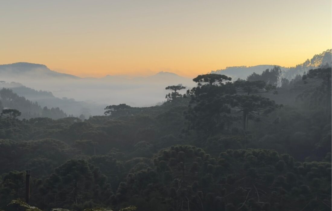 Região de Monte Verde voltou a registrar a menor temperatura do Brasil