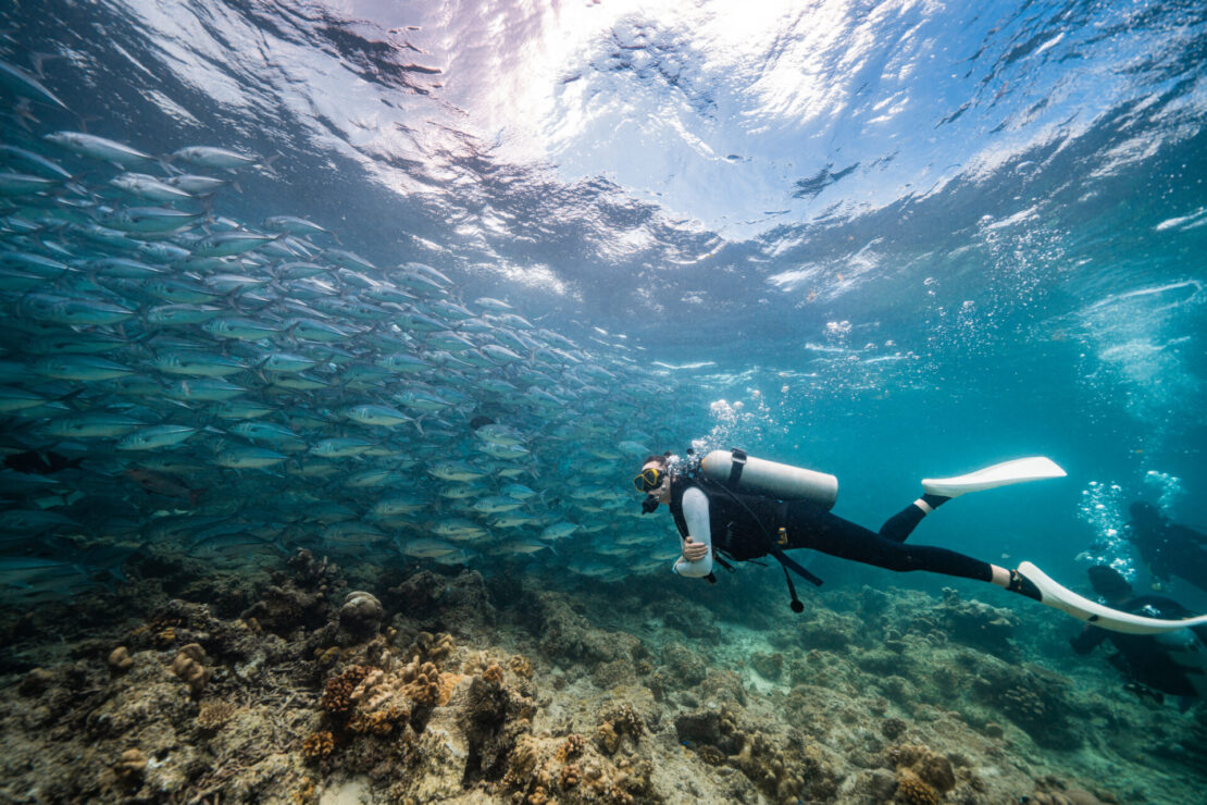 Malásia tem destinos incríveis para mergulho no Sudeste Asiático