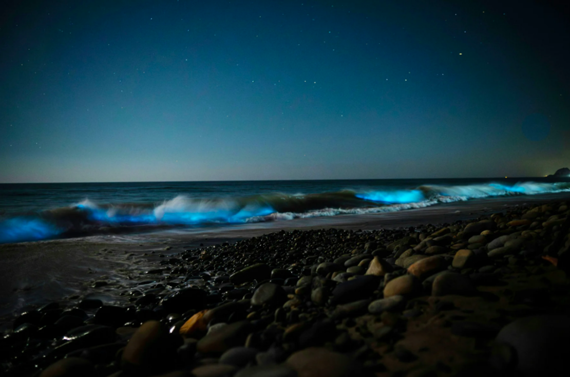 Turismo noturno: cinco destinos para viver a noite