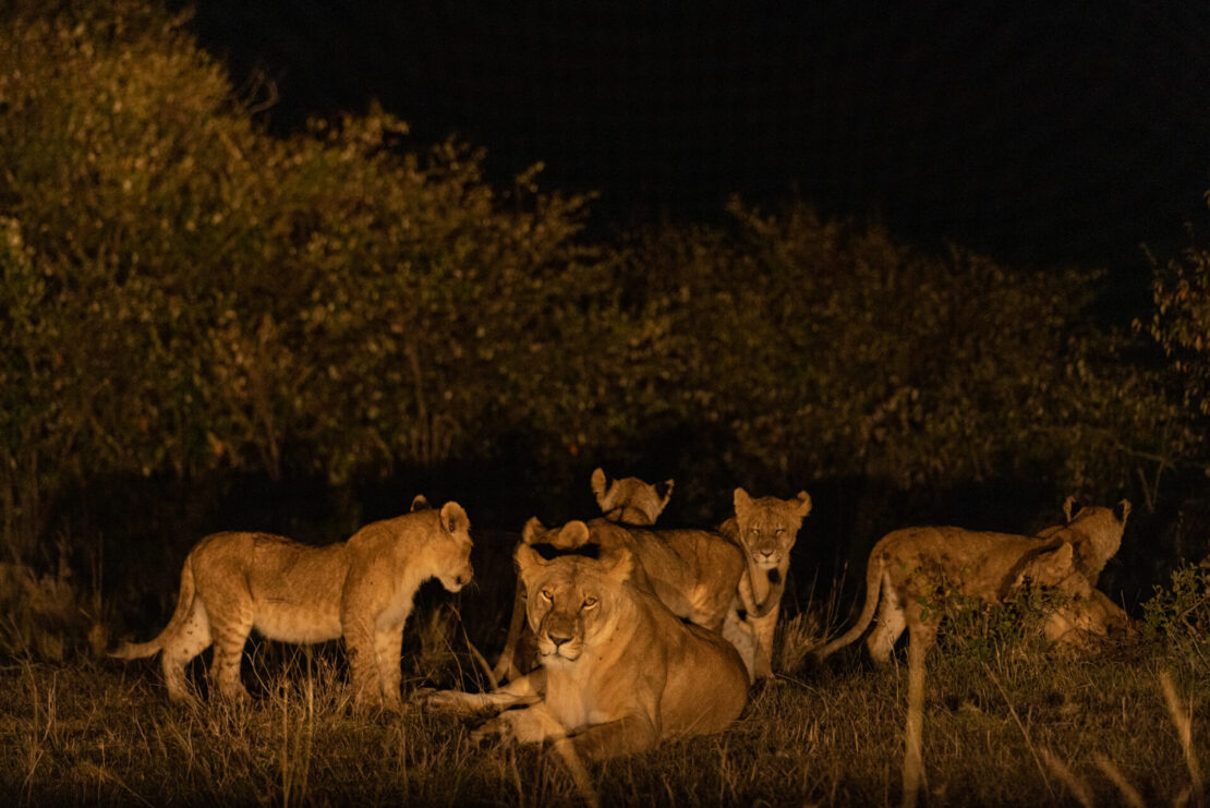 Turismo noturno: cinco destinos para viver a noite