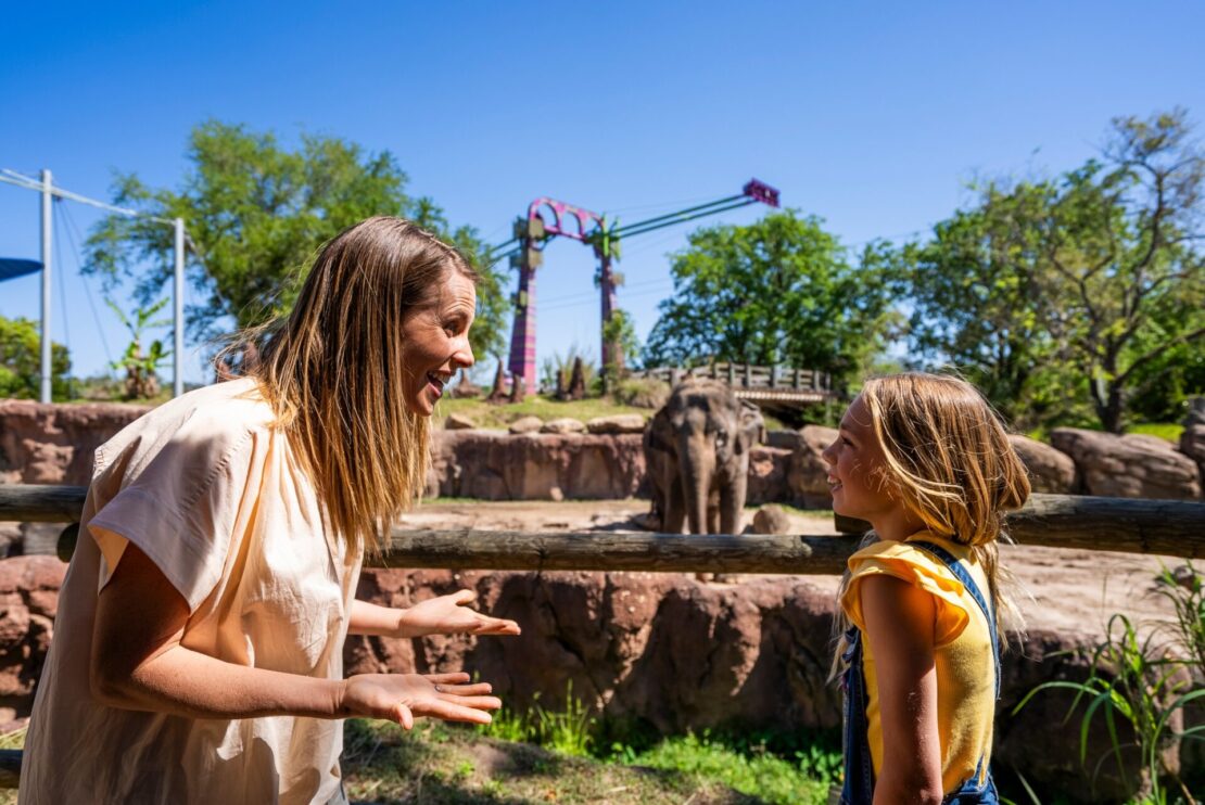 Busch Gardens Tampa Bay estreia festival noturno com novidades