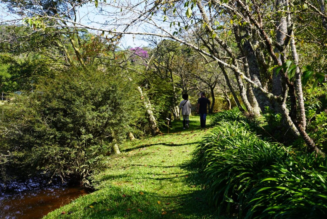 Natureza Eco Lodge: Mata Atlântica, conforto e ecoturismo no Espírito Santo