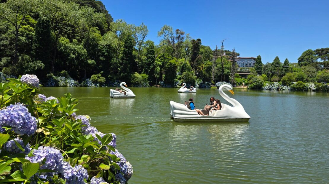 lago negro